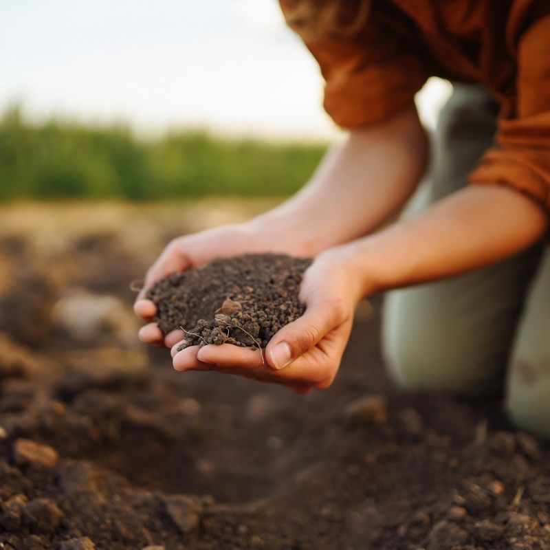 detalle recorte de manos juntas con tierra de plantacion