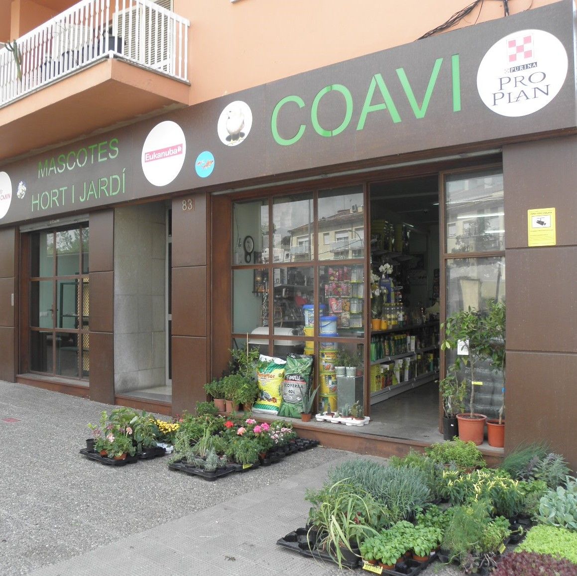 Coavi palafrugell